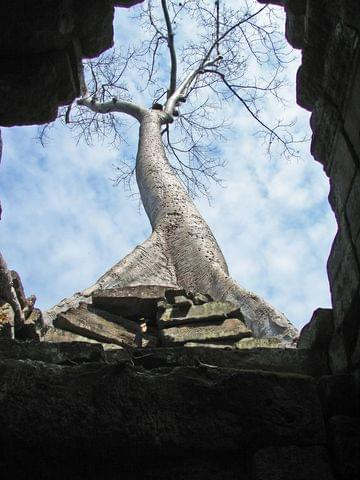 Ta Prohm