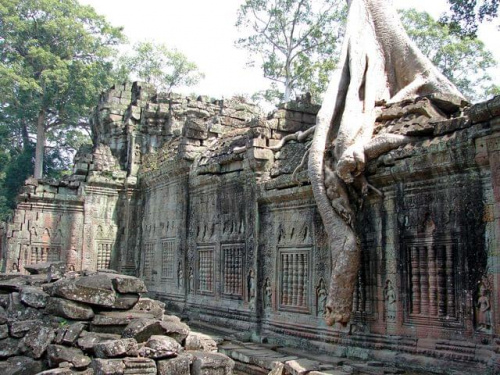 Ta Prohm