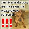 jamnik