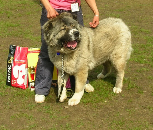 Klubówka Moskwa 2008