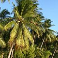 plaża Coral beach, Pulau Perentian Kecil (Wyspa Przystanek Mały)