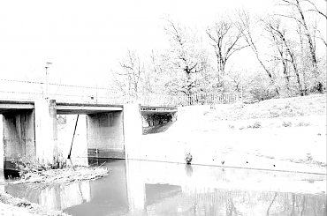 tama w parku Grabiszyńskim #tama #park #grabiszynek