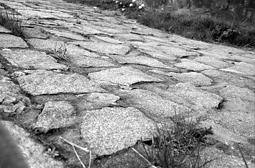 kamienie ;) #tama #park #grabiszynek