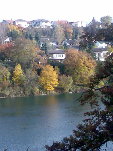 Nad Renem,po szwajcarskiej stronie... #rzeka