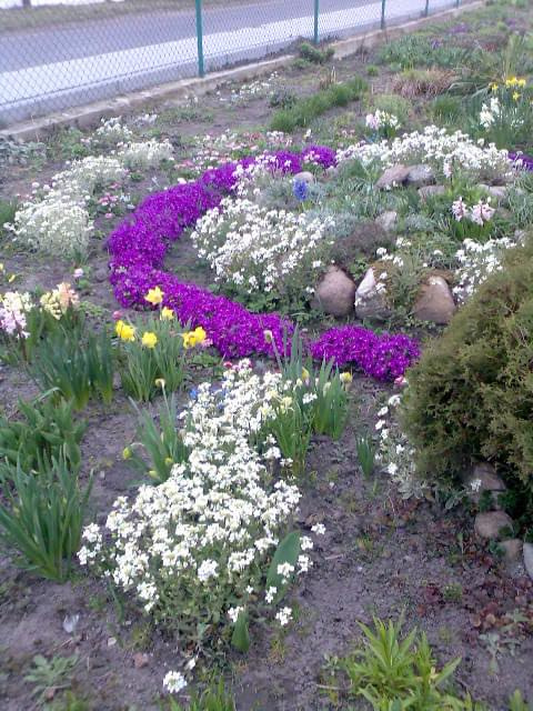 Wiosna [marzec-kwiecień 2008r.] #ogrody
