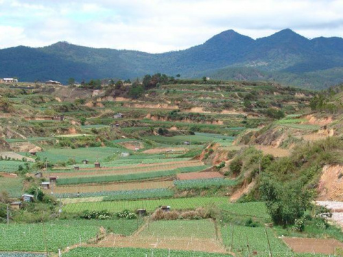 Widok na Dalat z góry Lang Bian, okolice Da Lat