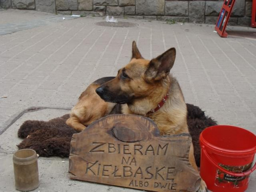 Pawełek i Jasio w Krakowie i Tatrach-maj 2008 z Agatką i Adasiem