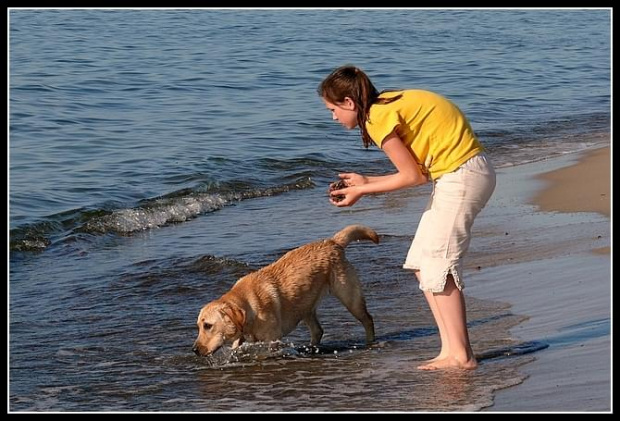 #PiesLabrador