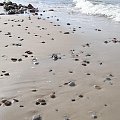 Wyrzucone przez morze #Plaża #kamienie #morze #fala #morski #MorskieFale #marzenia