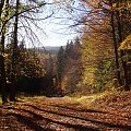 Siejeń. Znaczy się jesień