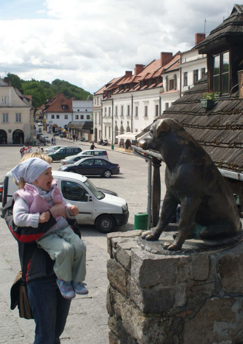 Kazimierz - z piesem