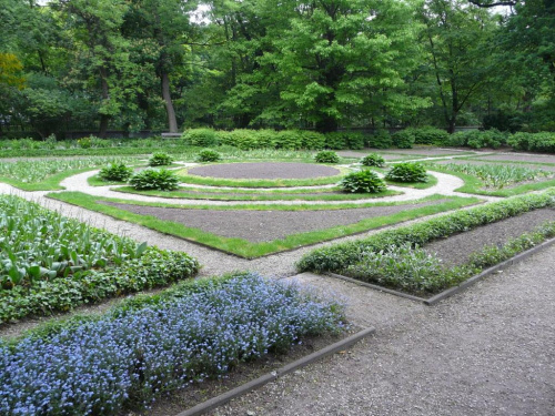 Warszawa-Ogród Botaniczny-18-05-2008.