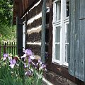 Wolsztyn 2008 Skansen