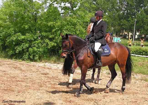 17.05.2008 Zawody w Stodołach