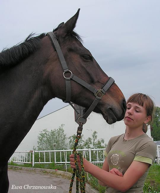 17.05.2008 Zawody w Stodołach