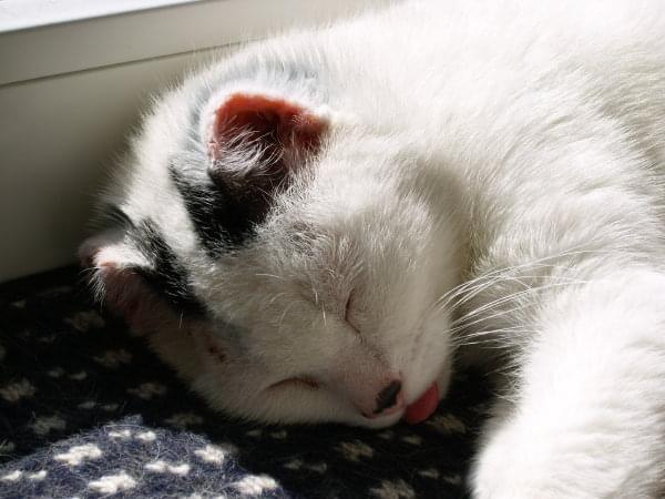 Mała księżniczka śpi...a co jej sie śni?