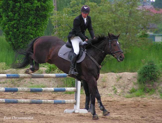 17.05.2008 Zawody w Stodołach