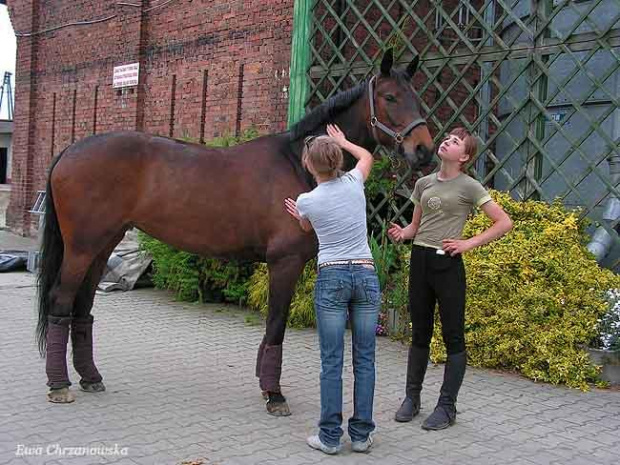 17.05.2008 Zawody w Stodołach