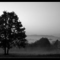 Noc w zadumie kroczy mroku ścieląc płaszcz.... Jelenia Góra 2008