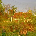 Mikołajki z bajki