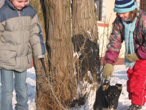 Mimi po znalezieniu :) cała klasa zajmuje się małą znajdą #dzieci #pies #psy #zima #zwierzęta