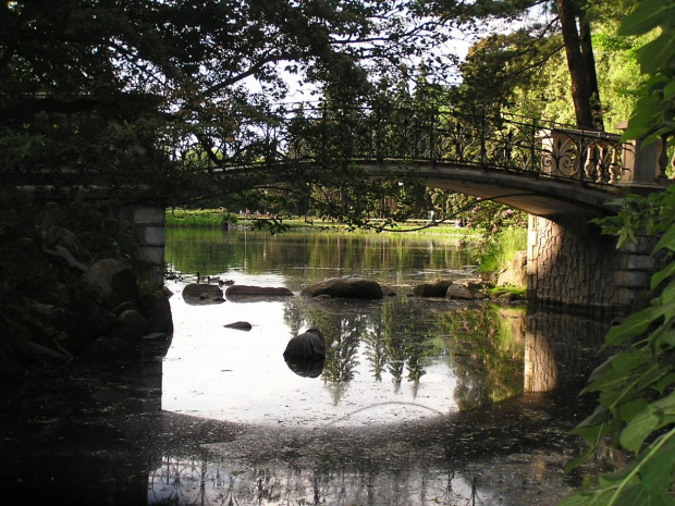 Mostek "od" romantycznych przechadzek #most #mostek #przyroda #drzewa #roślinność #woda #OczkoWodne