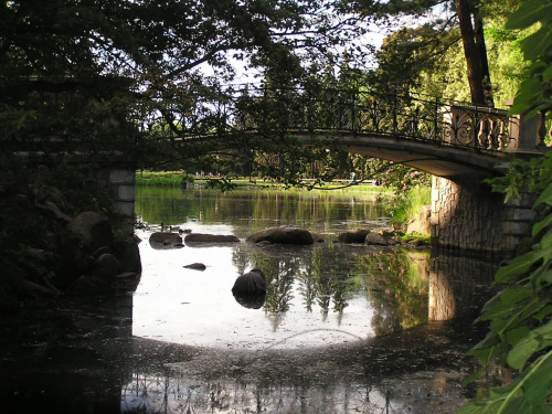 Mostek "od" romantycznych przechadzek #most #mostek #przyroda #drzewa #roślinność #woda #OczkoWodne
