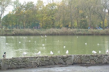 #iNOWROCŁAW #WIDOKI #SOLANKI