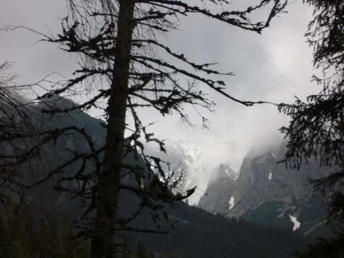 Tatry Słowackie z Hrebenoka