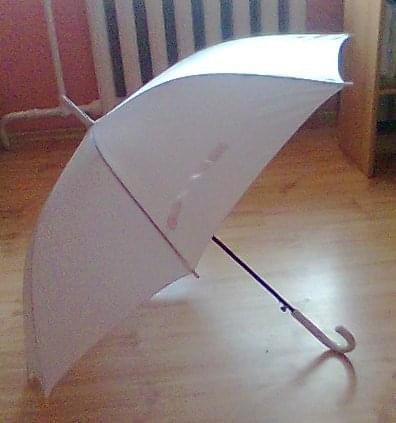 parasol2