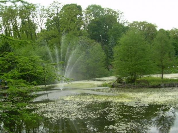 ARBORETUM W BOLESTRASZYCACH #PEJZAŻE