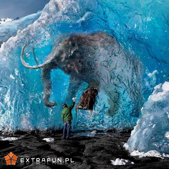www.extrafun.pl #extrafun