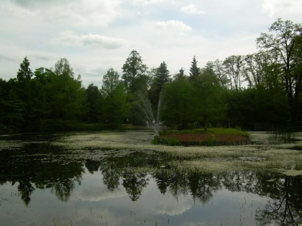 ARBORETUM W BOLESTRASZYCACH #PEJZAŻE