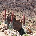 Teide i Masca