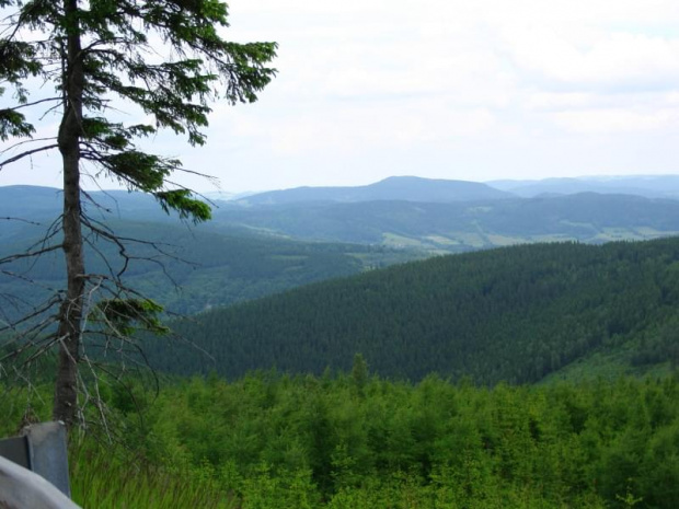 Widok podczas wjazdu na Przełęcz Okraj