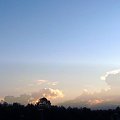 31.05.2008