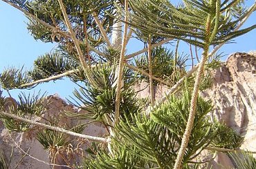 Santorini 06 x 2007 #Santorini