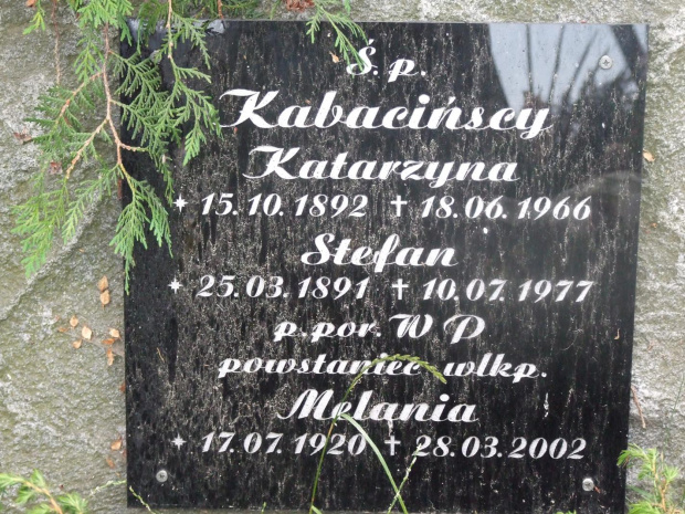 Powstańcy wielkopolscy cmentarz Kiszkowo #powstańcy