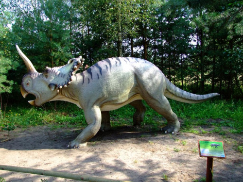 Centrozaur #dinozaur #centrozaur