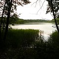 Jezioro w lesie