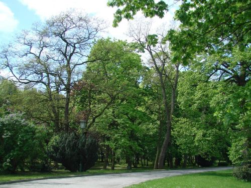 Baranów Sandomierski #BaranówSandomierski #Polska #Polen #Zamek #Park #renesans