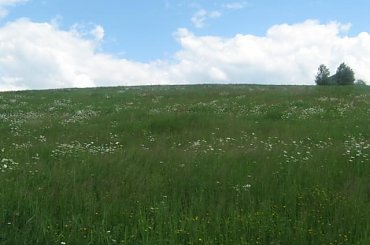 Widoczek ;) #góry #KrajobrazGórski #wycieczki #lato