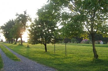 Zachód słońca w Iskrzyczynie;) #Iskrzyczyn #ZachódSlońca #wieś