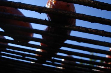 rower power! #rower #piknik #PraskiPiknikRowerowy #Praga #Gocław #Warszawa