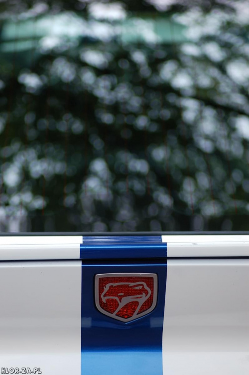 Dodge Viper GTS #DodgeViperGTS #Lublin #Rzeszów