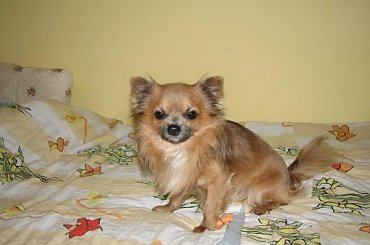 Sesja zdjęciowa Rudolfa #Rudolf