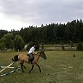 konie #okiko