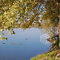 Jesień nad Wisłą w Tyńcu #kraków #polska #natura #Tyniec #Wisła #woda #pejzaż #zwierzęta #kaczki