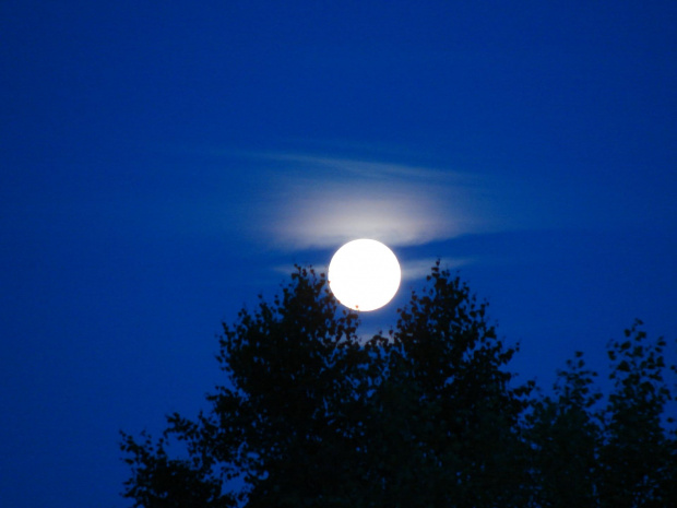 księżyc w pełni #natura #księżyc