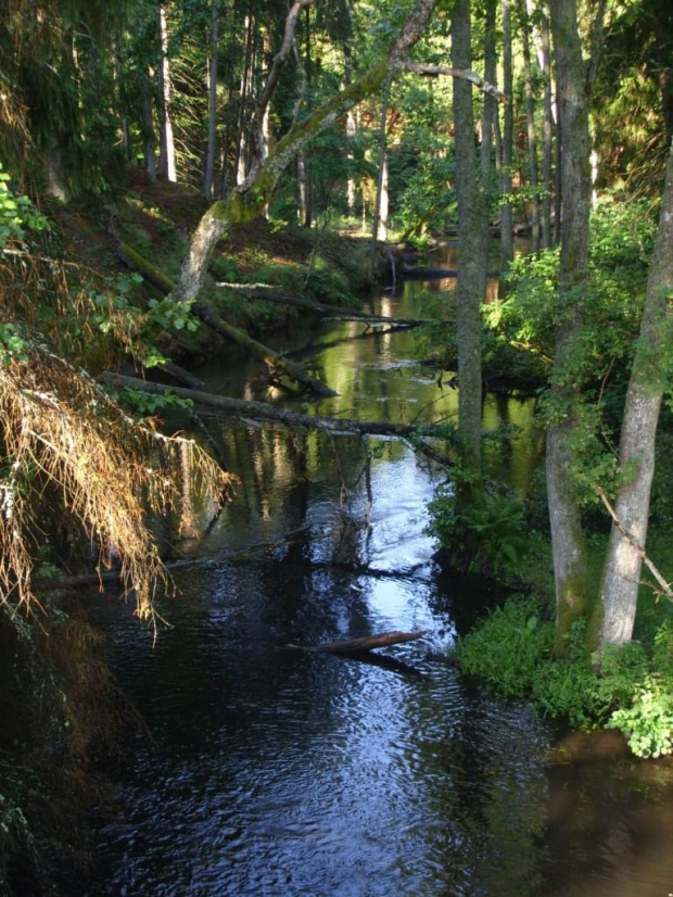 Brda, rezerwat "Przytoń"